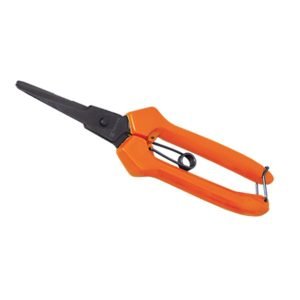 Falcon Ruchi bypass secateurs