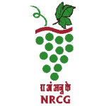 NRCG logo